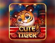 CUTE TIGER MC